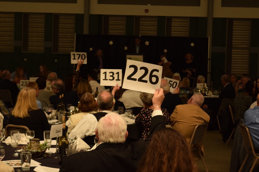 Attendees at the 2018 Foundation Auction raise their paddles to bid on an item