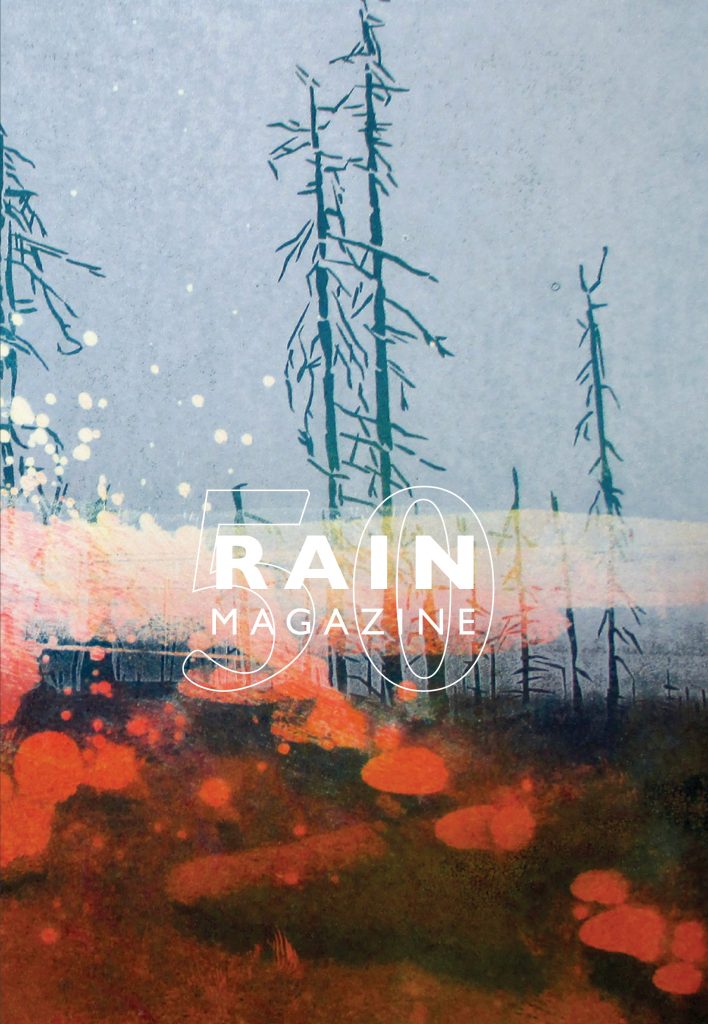 Cover of the 2019 Rain Magazine featuring an image of a forest