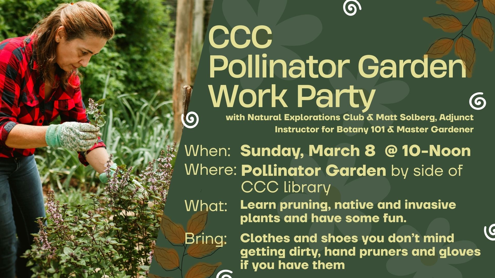 woman pruning a bush