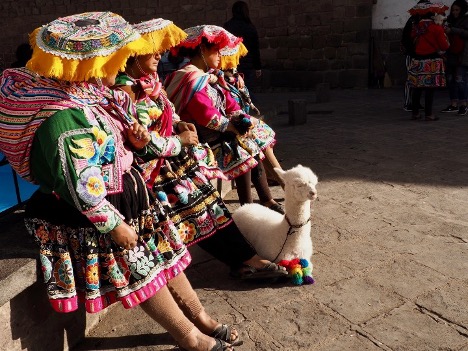 Amanda Cortez with Alpaca