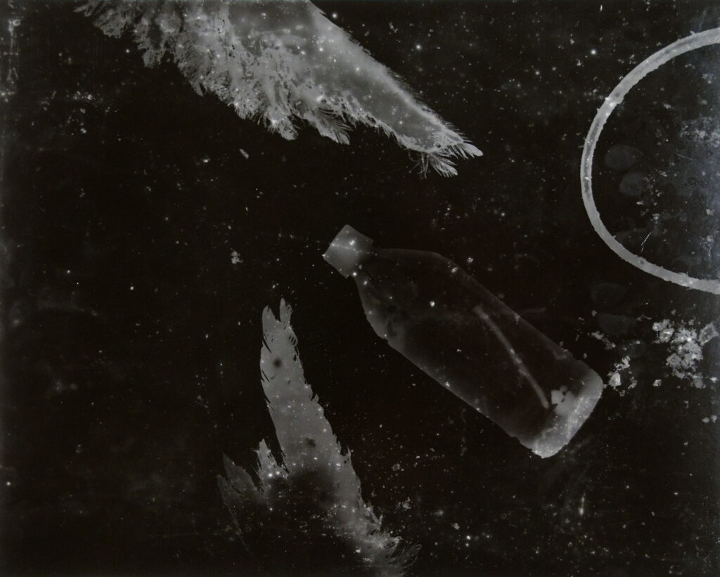 Anna Daedalus and Kerry Davis created this Water Shadow Gelatin Silver Photogram
