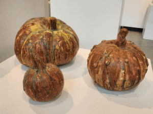 Sara Chacon, 3 Pumpkins