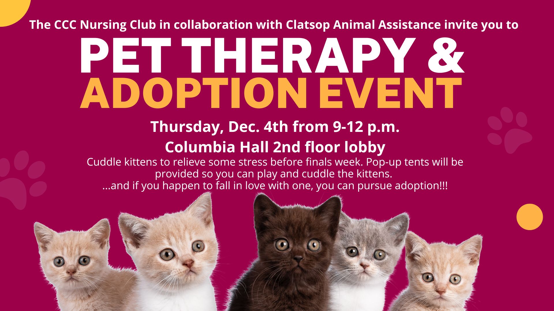 Pet Therapy flyer with event details and images of kittens