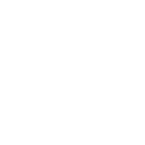 Winter Icon